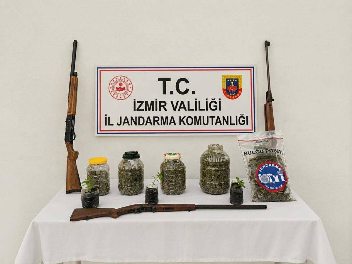 Ödemiş'te operasyonda esrar ve 2 av tüfeği ele geçirildi, şüpheli tutuklandı