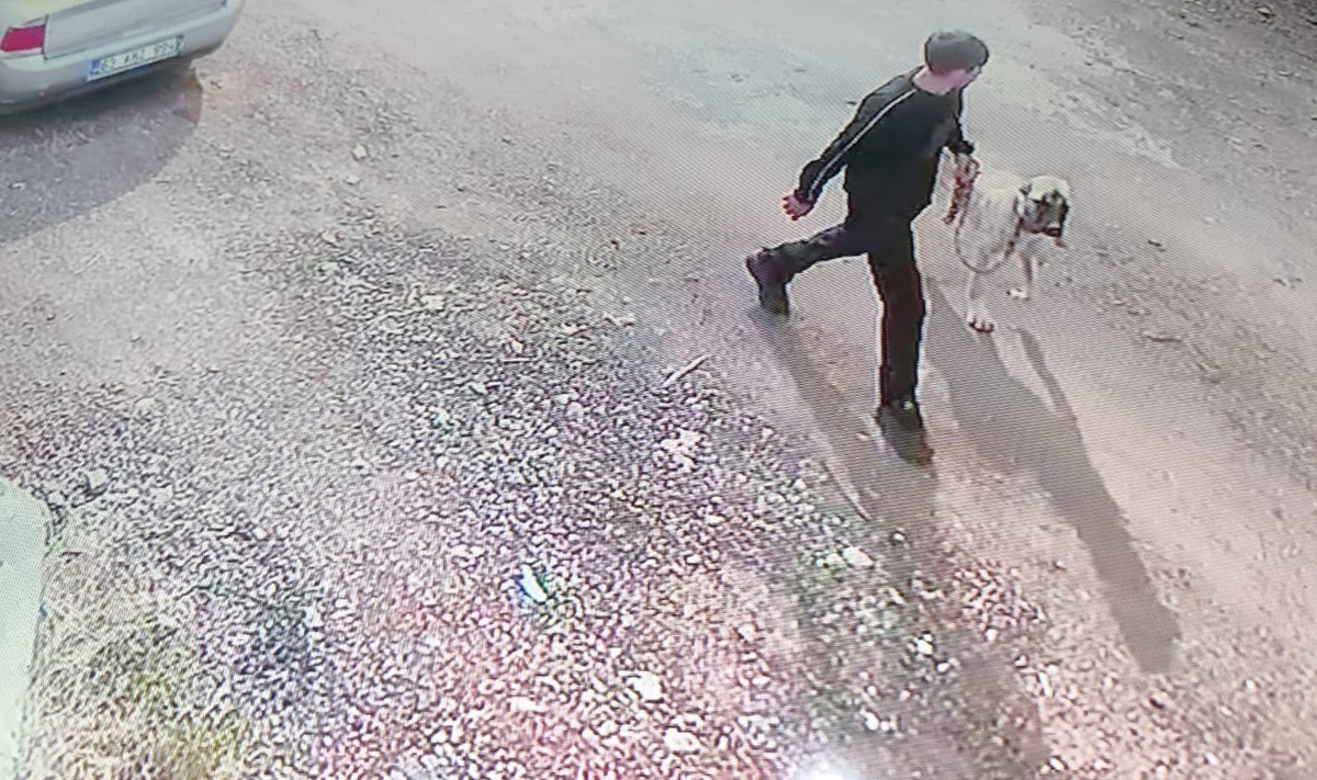 Siverek'te Kangal cinsi köpeği iki kişi çaldı, o an kameraya yansıdı