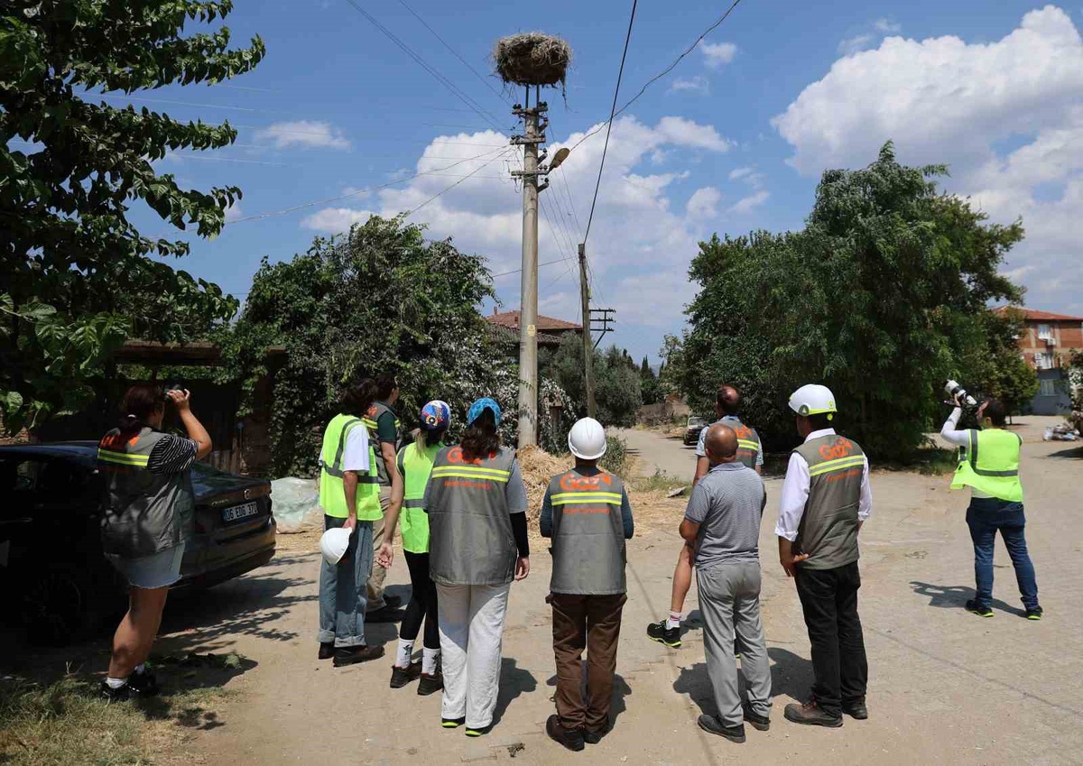 ADM ve GDZ Elektrik, kuş koruma projesini 5 ilde genişletiyor