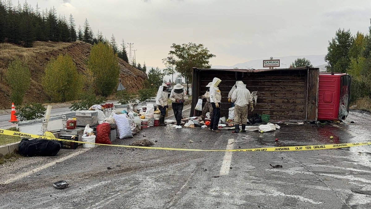 Bal ve arı kovanı yüklü kamyonet devrildi; 3 yaralı