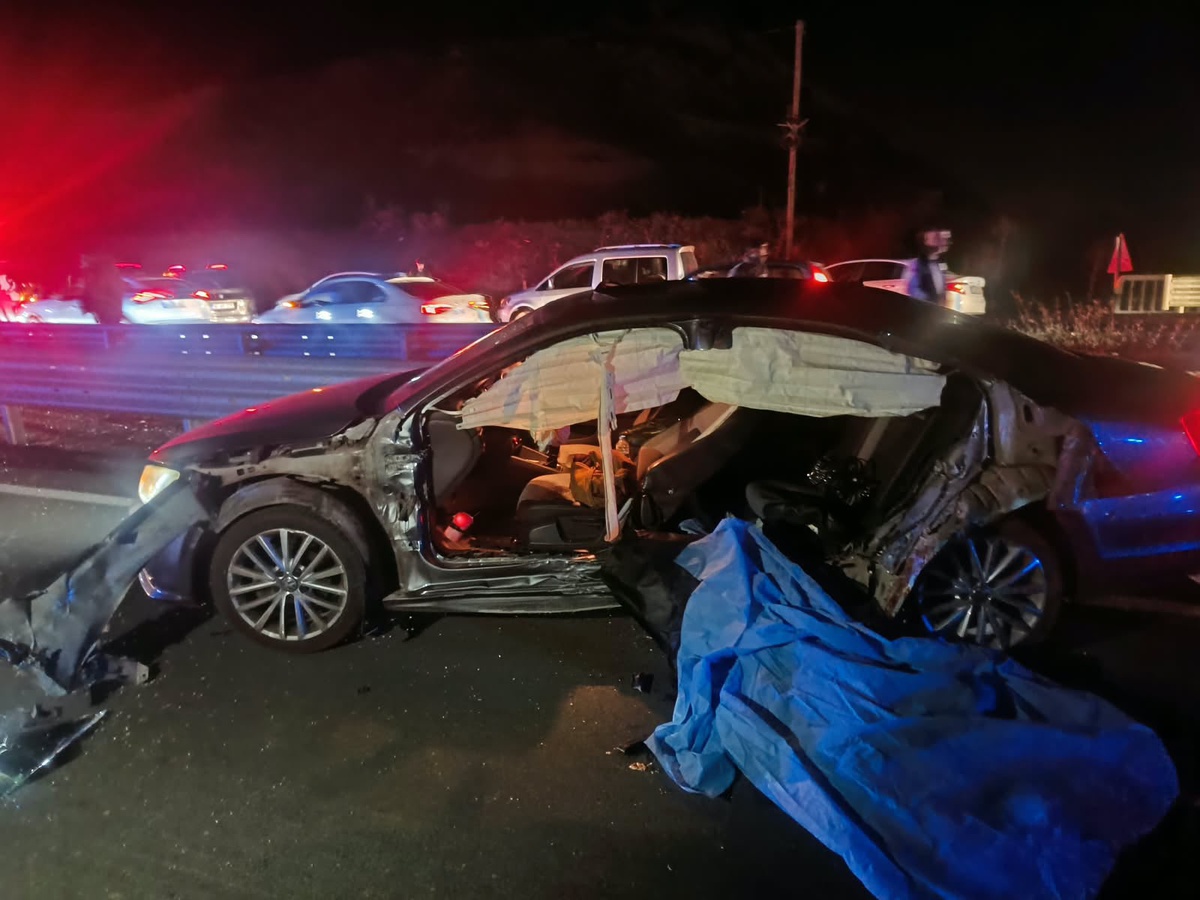 Bingöl Genç'te otomobil demir bariyerlere çarptı, 2 kişi öldü, 2 kişi yaralandı