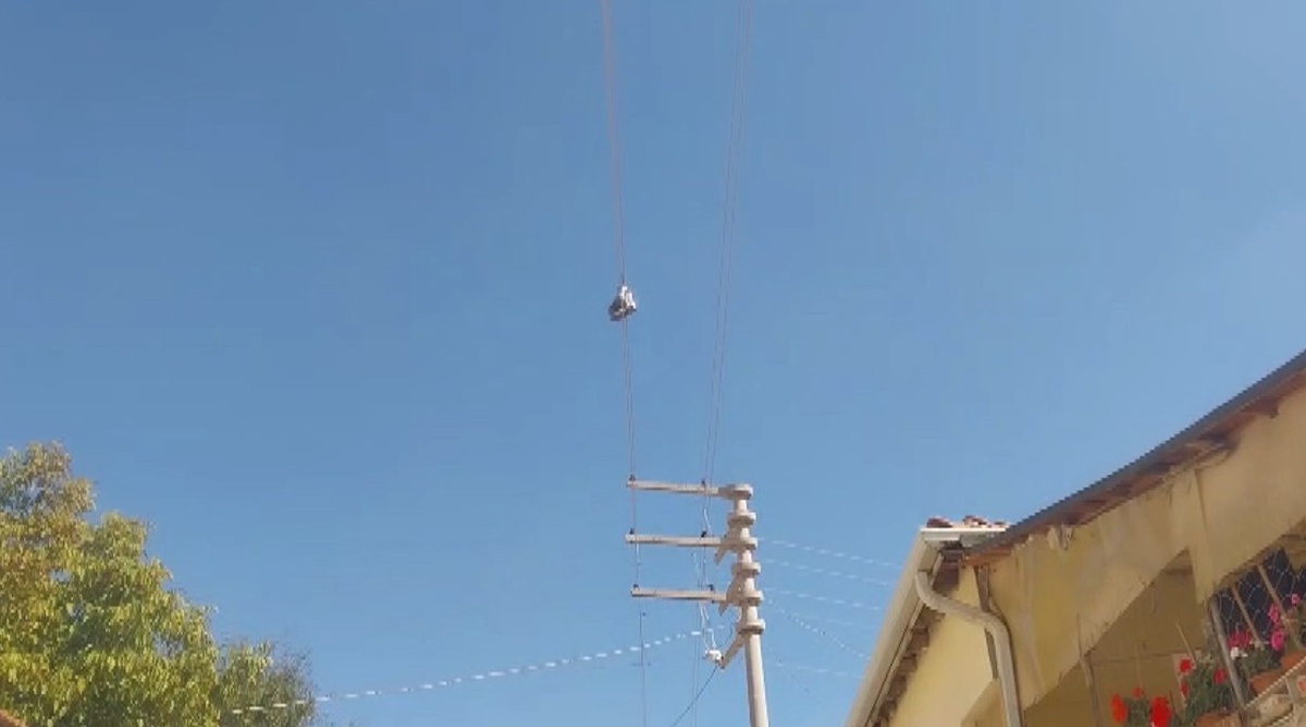 Eskişehir'de elektrik telindeki çift bot mahallede can güvenliği endişesi yarattı