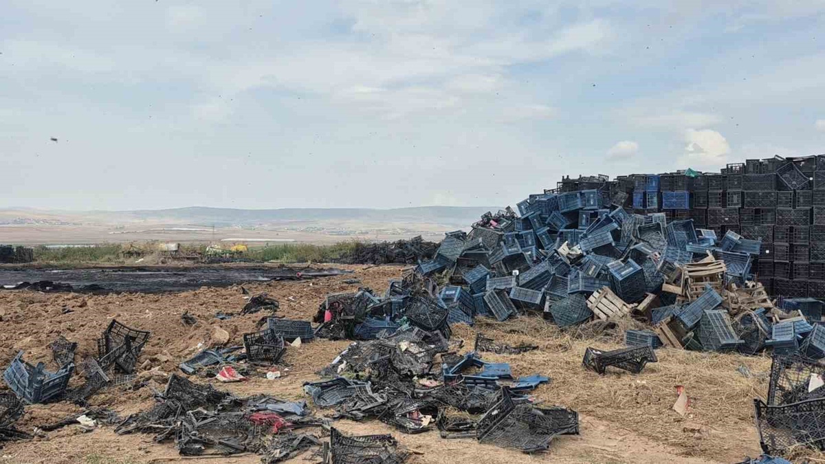 Eskişehir Tepebaşı'da çıkan yangında binlerce plastik kasa kullanılamaz hale geldi