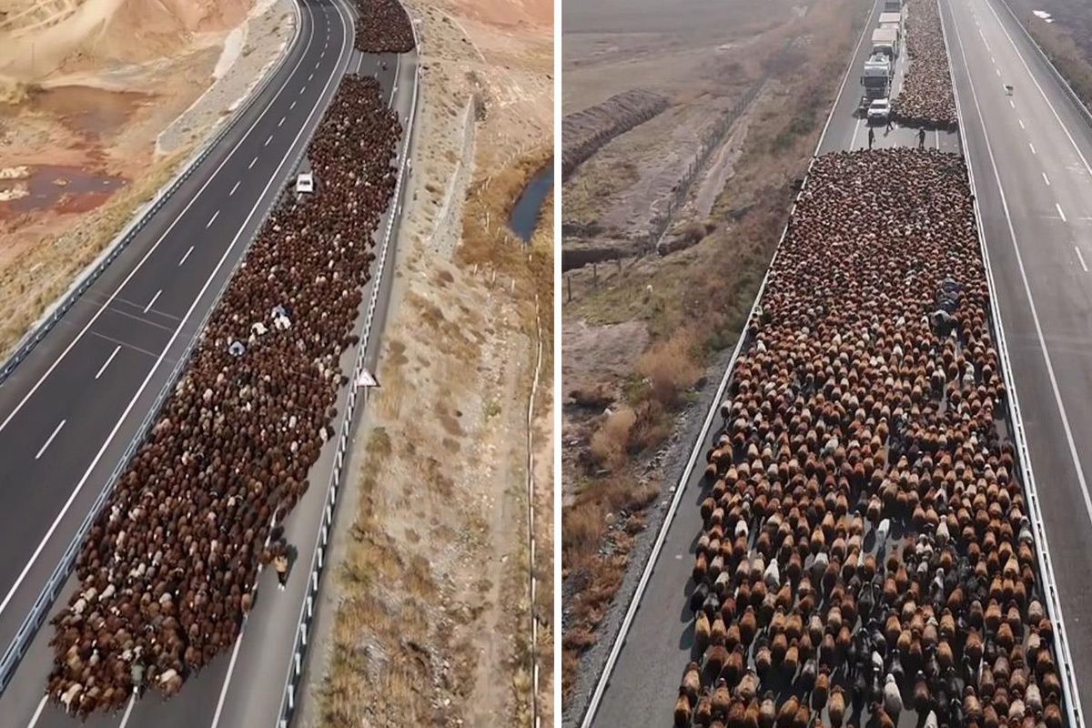 Görüntü Türkiye'den! İki şeritli yolu kapattılar, onlarca araç geçiş için bekledi