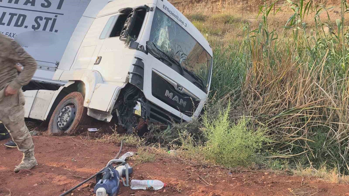 Hatay Reyhanlı'da kontrolden çıkan tır zeytin bahçesine uçtu, sürücü yaralandı