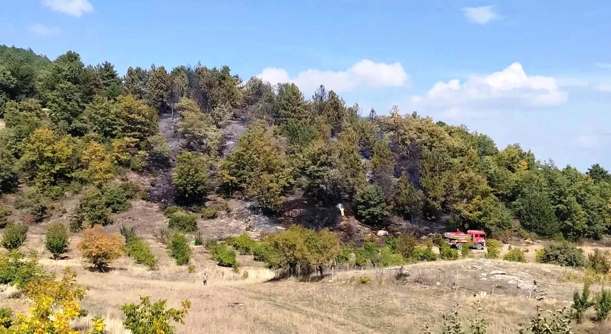Kütahya Hisarcık'ta yangın 3 saatte söndürüldü, 6 dekar alan zarar gördü