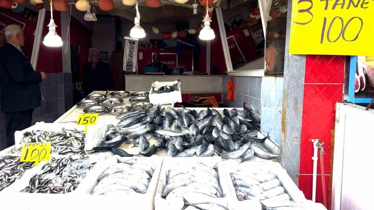 Palamut bolluğu fiyatları düşürdü, Rize Pazar'da 3 tanesi 100 TL'den satılıyor