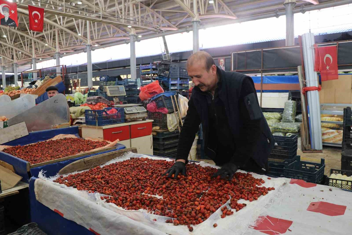 Sivas'ta kuşburnu sezonu açıldı, halde 70-150 TL arasında satılıyor