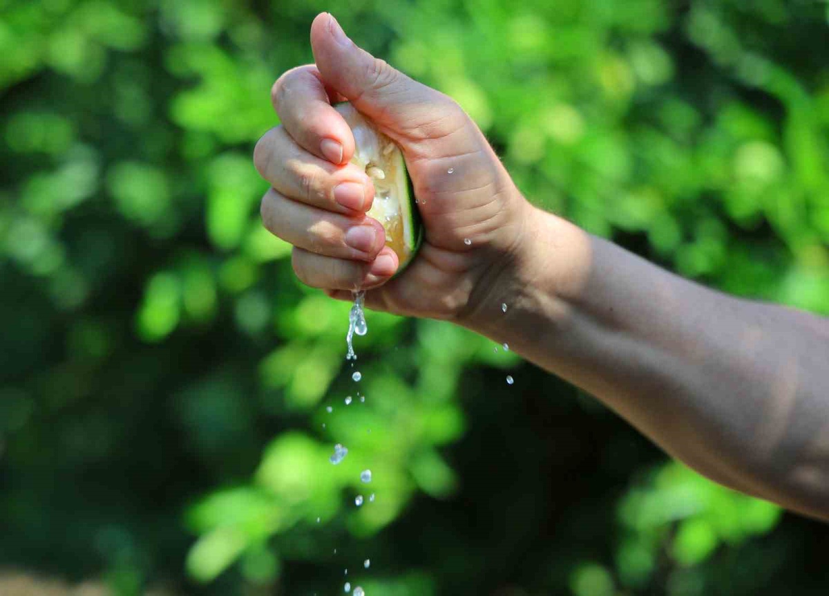 Adana'da limon 5 liraya düştü, Karadeniz kapalı olduğu için ihracat yapılamıyor