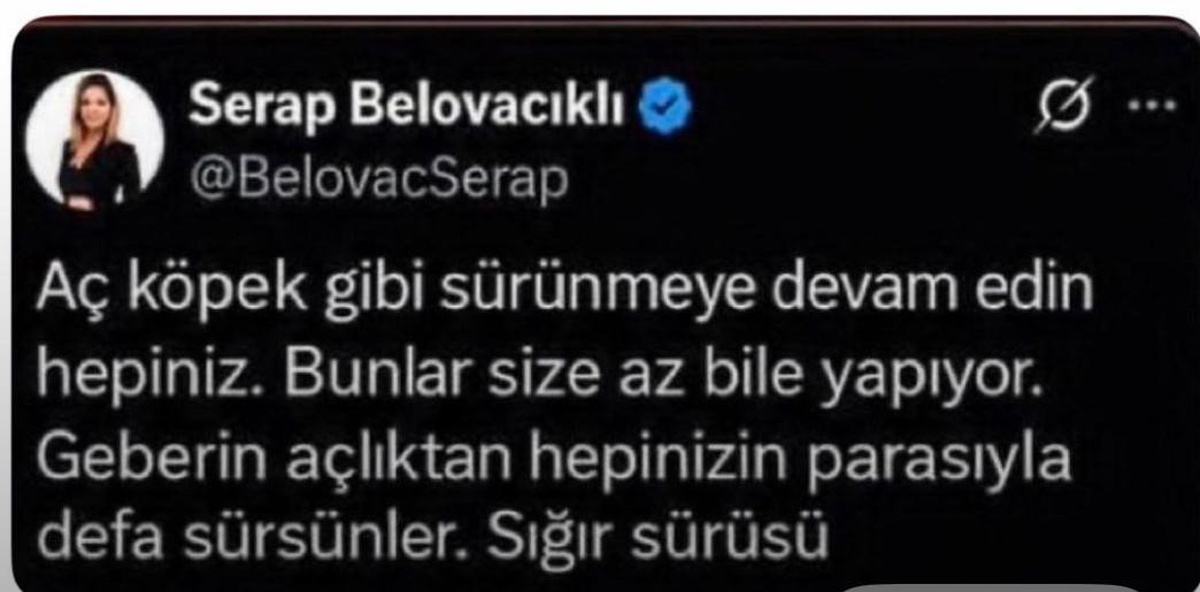 Bakırköy Başsavcılığı, gazeteci Serap Belovacıklı'ya resen soruşturma başlattı