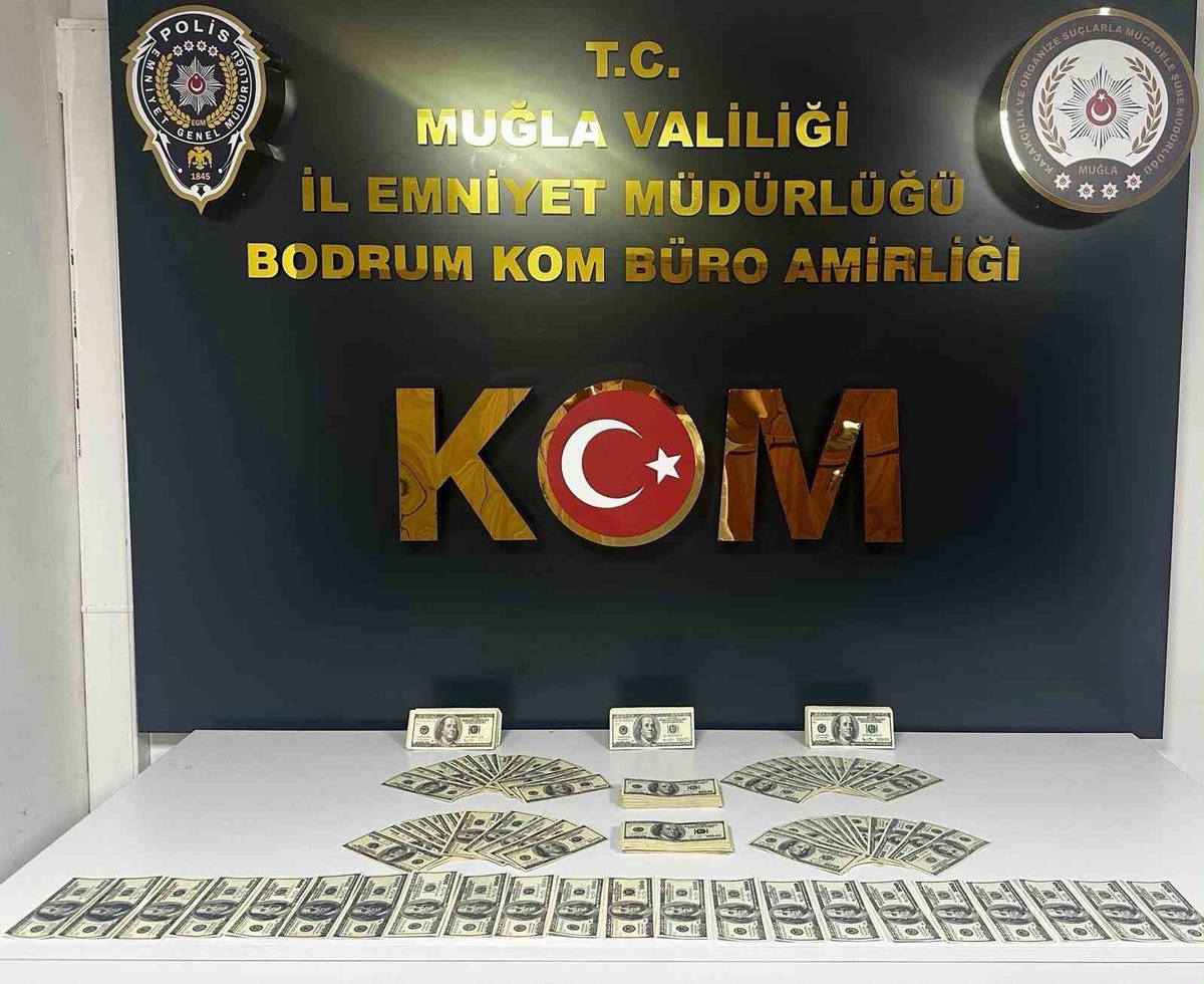 Bodrum'da sahte dolar operasyonunda şüpheli tutuklandı, 46 bin 200 dolar bulundu