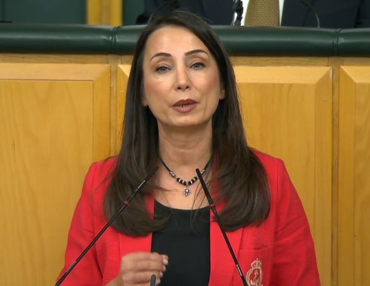 DEM Parti Eş Başkanı Hatimoğulları Suudi Arabistan'a asker gönderilmesine karşı çıktı