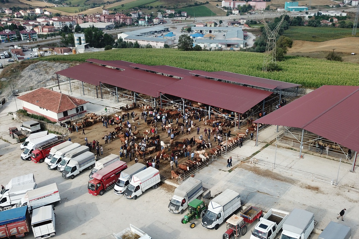 Samsun Havza'da şap tedbiri nedeniyle canlı hayvan pazarı kapatıldı