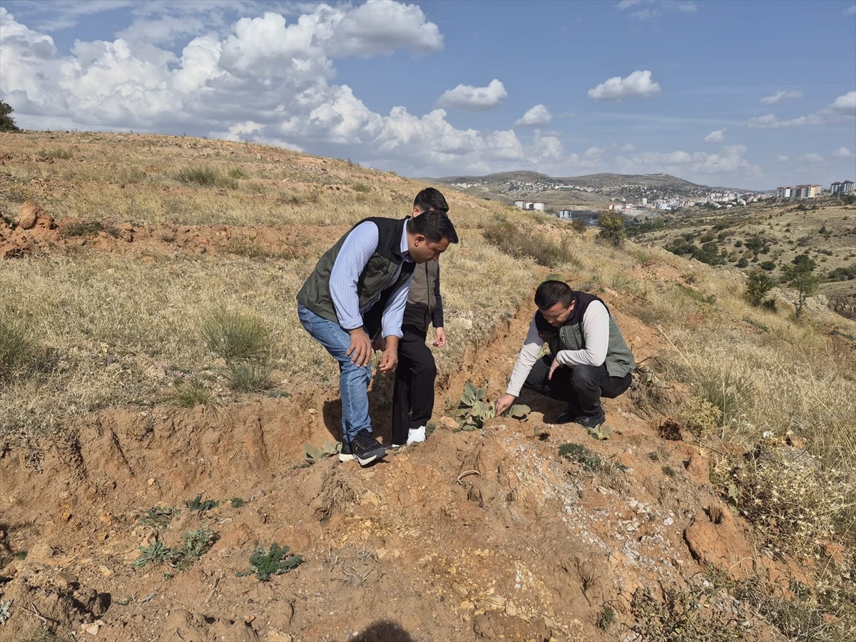 Yozgat'ta 11 Kasım Milli Ağaçlandırma Günü için Orman İşletme Müdürü inceleme yaptı