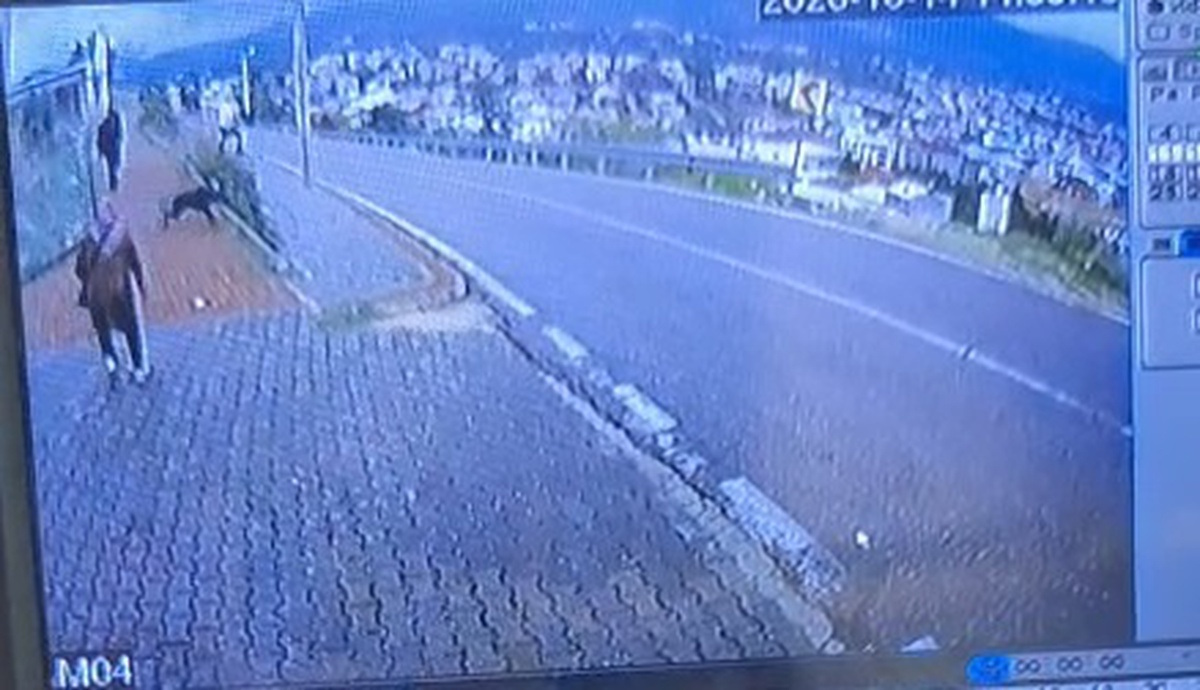 Bursa Orhangazi'de köpekten kaçan çocuk, 2 metre yüksekten atlayınca bacağı kırıldı