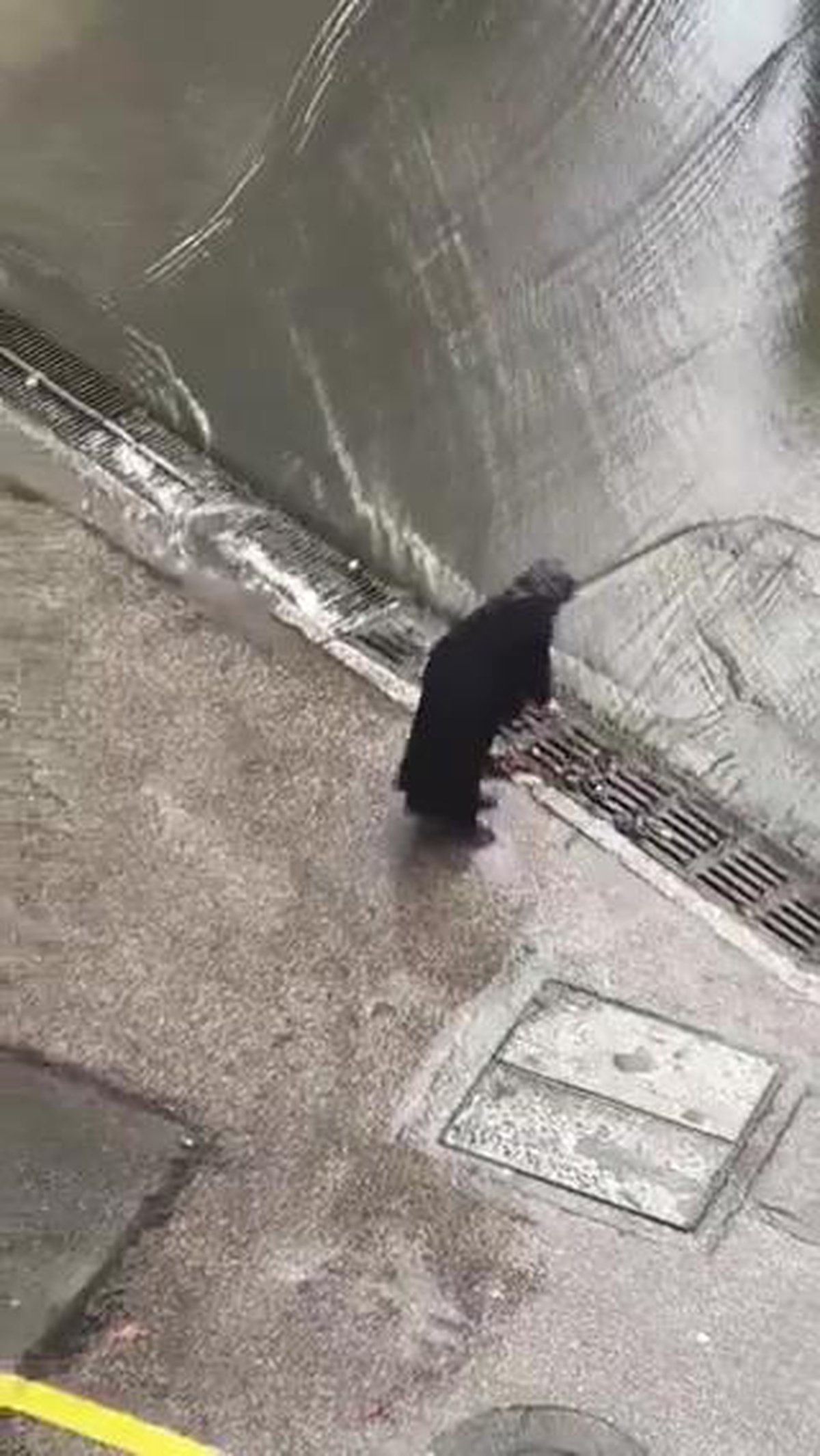 İstanbul'da sağanakta kadın, taşkını önlemek için mazgalları bastonuyla temizledi