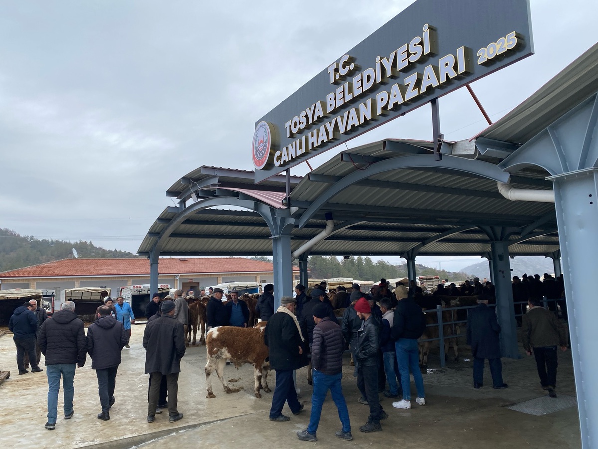 Kastamonu'nun Tosya ilçesinde şap nedeniyle canlı hayvan pazarı kapatıldı