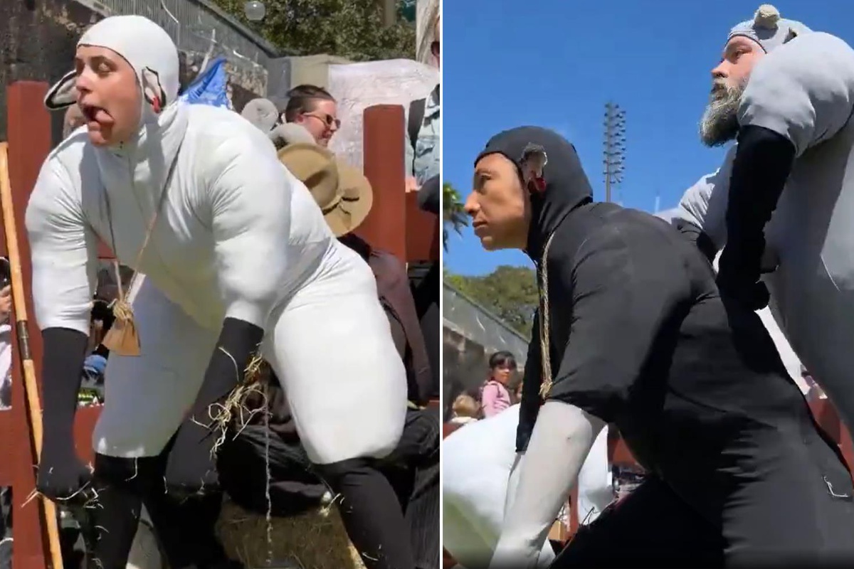 Koyun kılığına giren sanatçılar herkesi şaşırttı