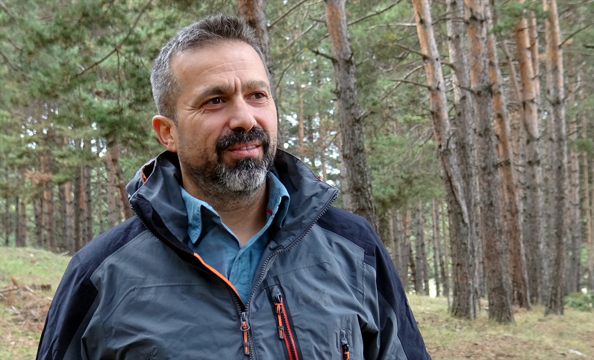 Sarıkamış'ta bozayıları çöpten uzak tutacak kilitli konteyner projesi başladı