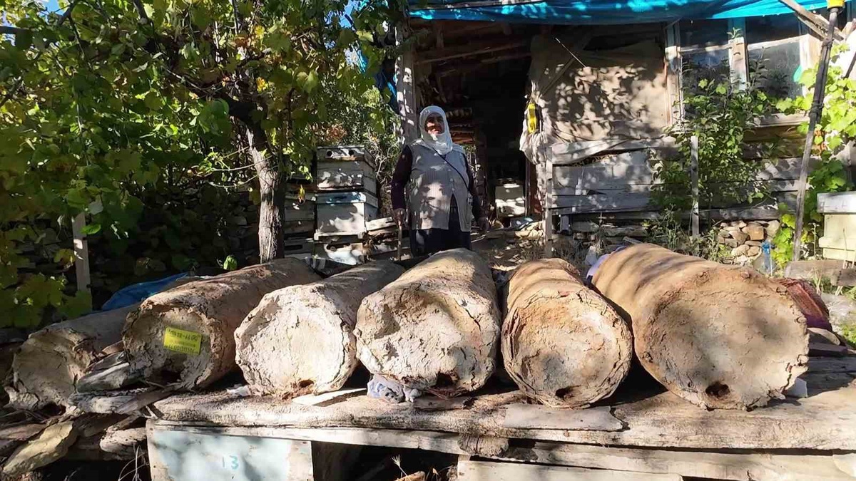85 yaşındaki Hatice Orhan, Yozgat Çayıralan'da beş karakovanla bal üretiyor