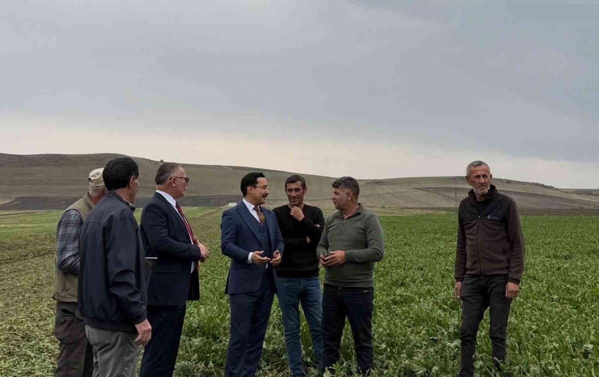 Akyaka Kaymakamı İsmail Demirtaş, şeker pancarı hasadında çiftçilerle buluştu