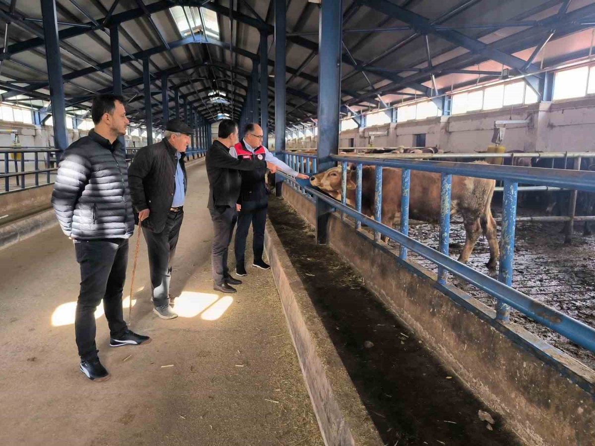 Bayburt'ta 240 büyükbaş kapasiteli işletmeyi İl Tarım ve Orman Müdürü ziyaret etti