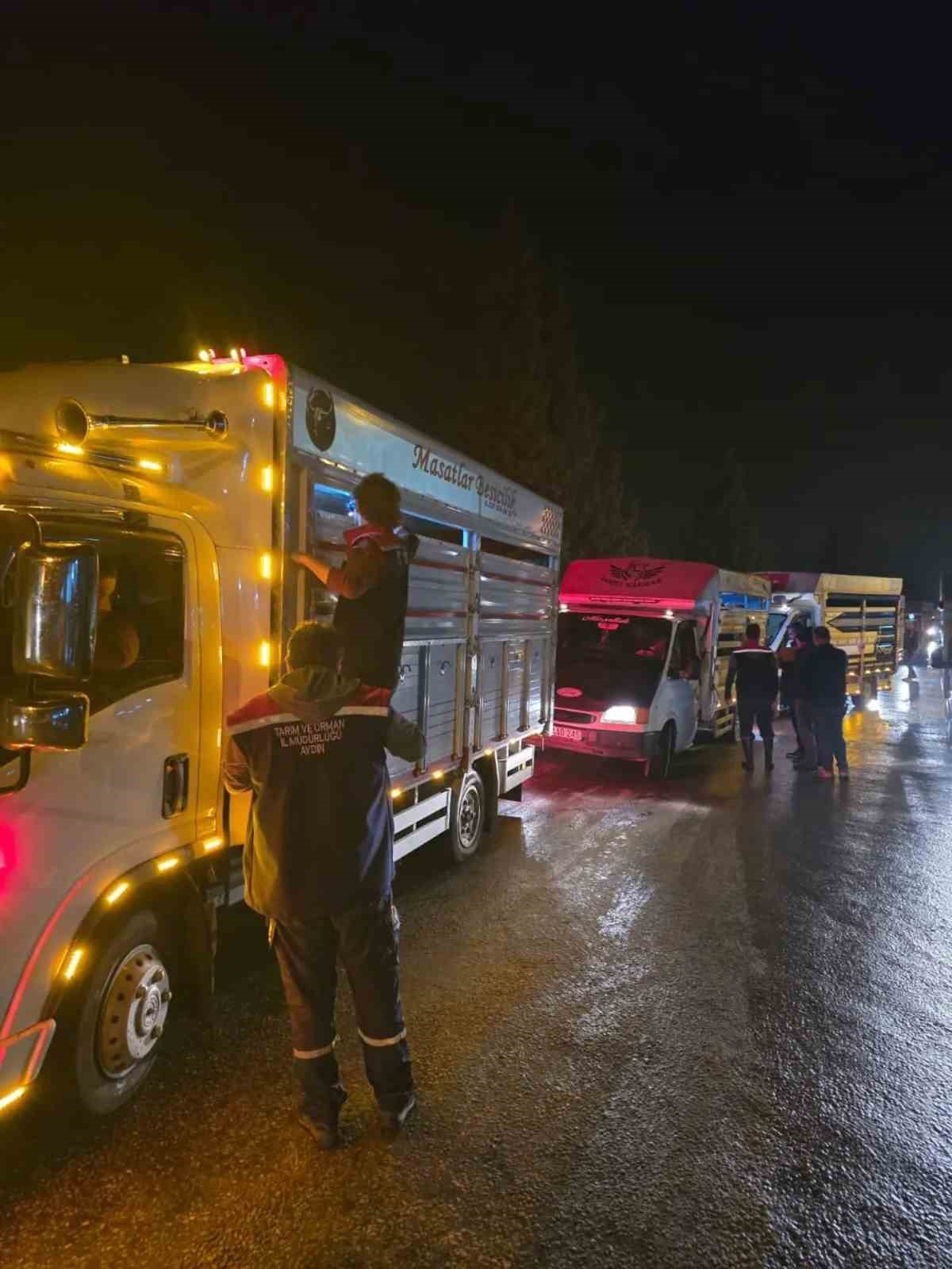 Çine Hayvan Pazarı, veteriner hekim denetiminde yeniden hizmete girdi