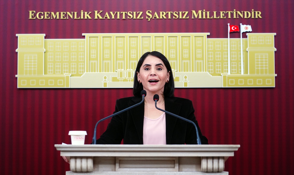 DEM Parti vekilleri Meclis'te pancara yüzde 20 zammı ve eğitim masraflarını eleştirdi