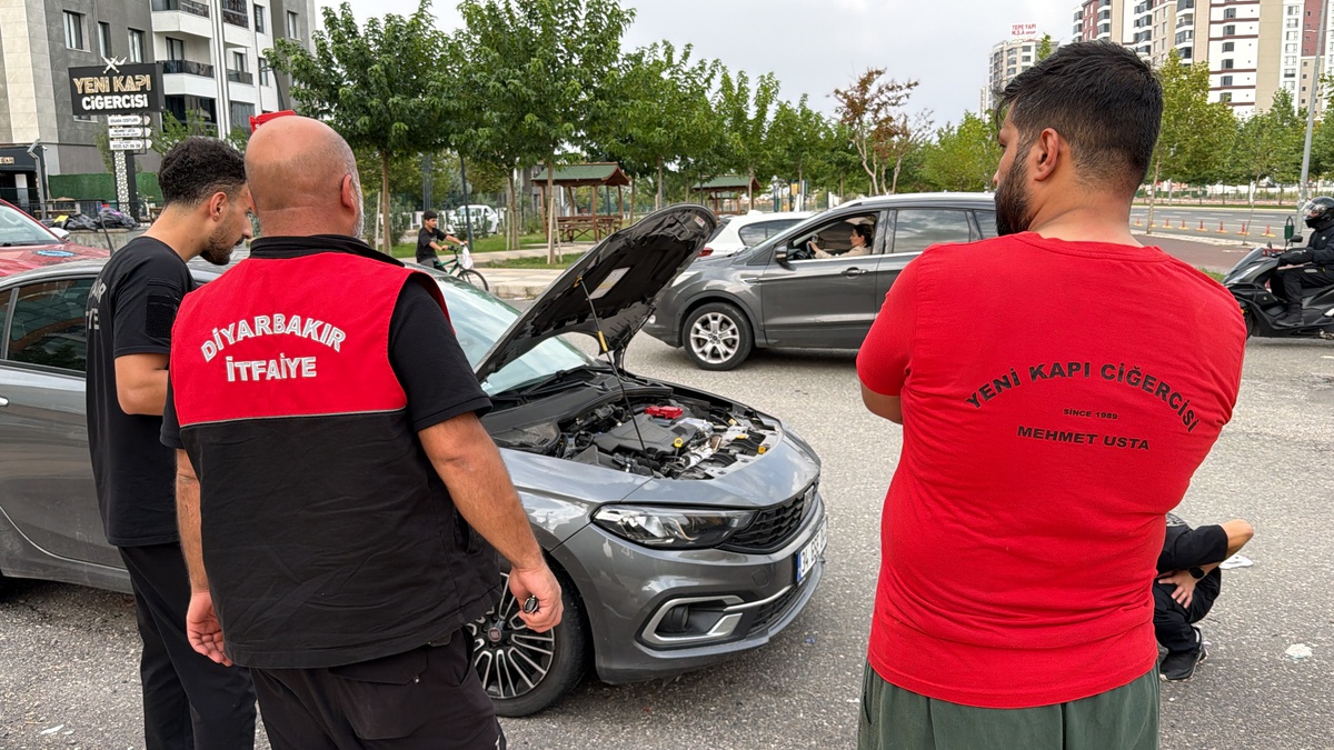 Diyarbakır'da otomobilin kaputuna yılan girdi! İtfaiyenin çıkaramadığı yılanı vatandaşlar çıkardı
