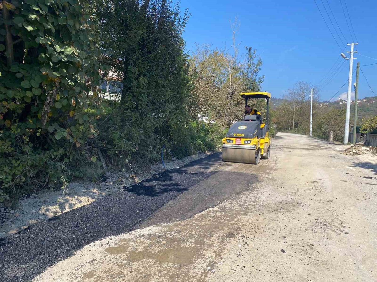 Düzce İl Özel İdaresi, Sancakdere köyünde bozulan yollarda asfalt yama yapıyor