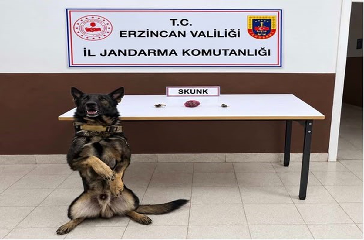 Erzincan'da jandarma operasyonlarında 13 gram skunk ve 35 gram hammadde ele geçirildi
