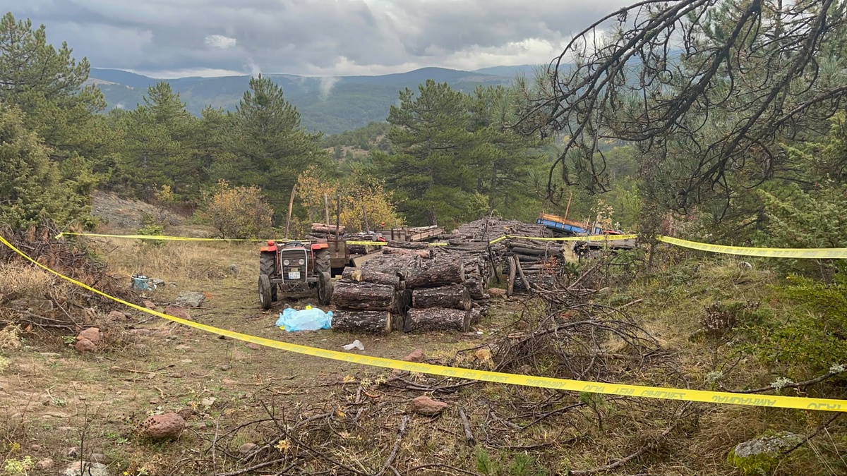 Kastamonu'da köy imamı ormanda öldürüldü! Başına odunla vuran şüpheli yakalandı