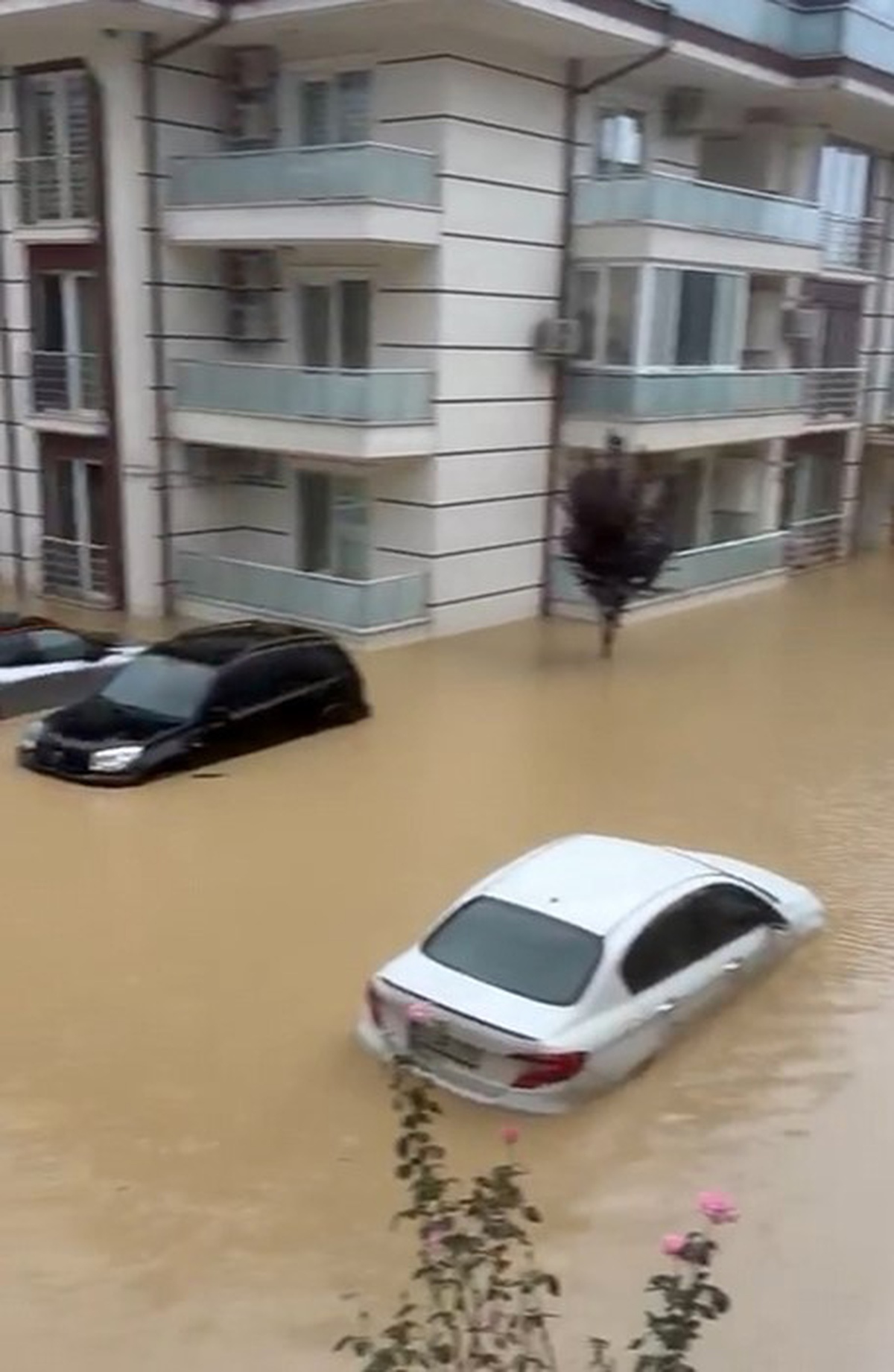 Sakarya'da kuvvetli yağış taşkına yol açtı, evlerin zemin katları sular altında kaldı