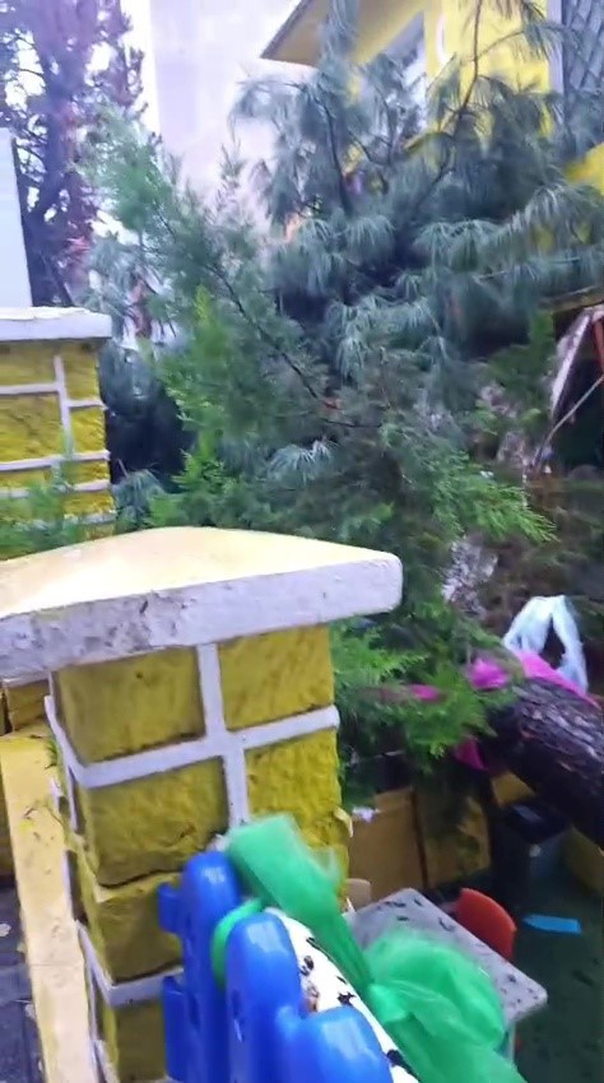 Üsküdar'da fırtına anaokulu bahçesindeki ağacı devirdi, oyuncaklar zarar gördü