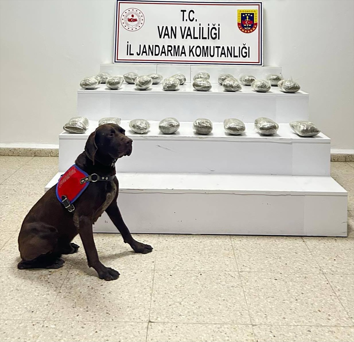 Van Başkale'de jandarma operasyonunda 10 kilo 111 gram esrar ele geçirildi