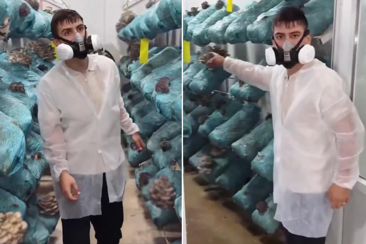 Avukatlığı bırakıp bu işe başladı! 30 bin lira yerine 250 bin lira kazanıyor