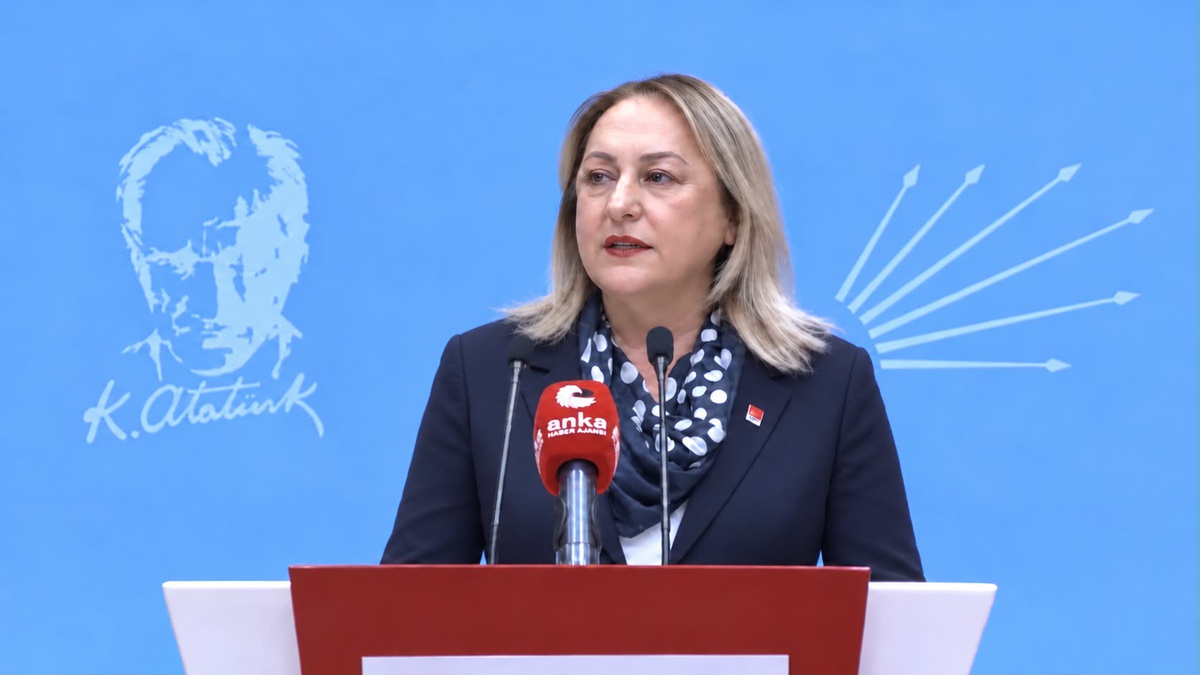 CHP Kadın Kolları Genel Başkanı Gülsever, 100 çocuktan 37'sinin yoksulluk riskini anlattı