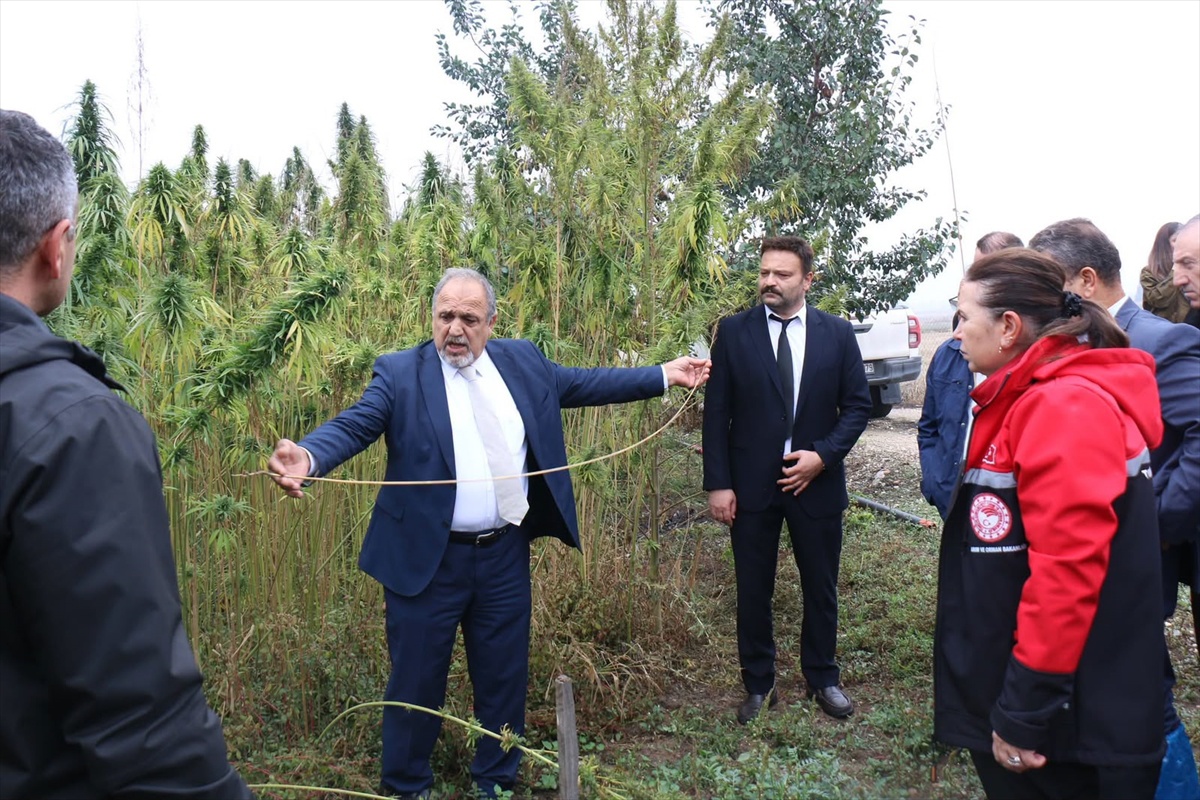 Çorum'da kenevir eğitimine teknik personel ve üreticiler katıldı