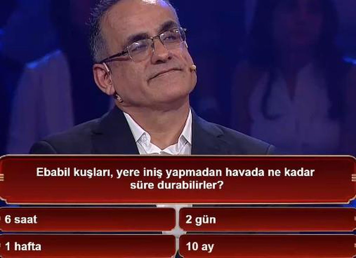 Ebabil kuşları, yere iniş yapmadan havada ne kadar süre durabilirler?