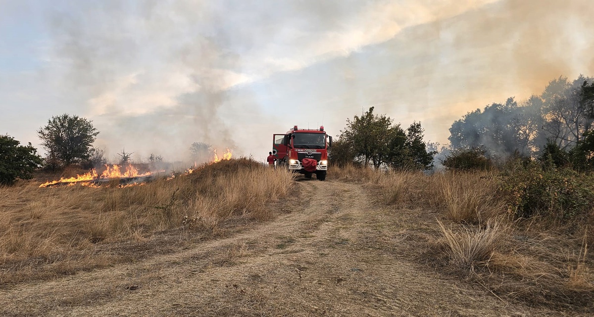 Edirne İpsala'da anız yakımı dumana boğdu, 11 kişiye adli ve idari işlem başlatıldı