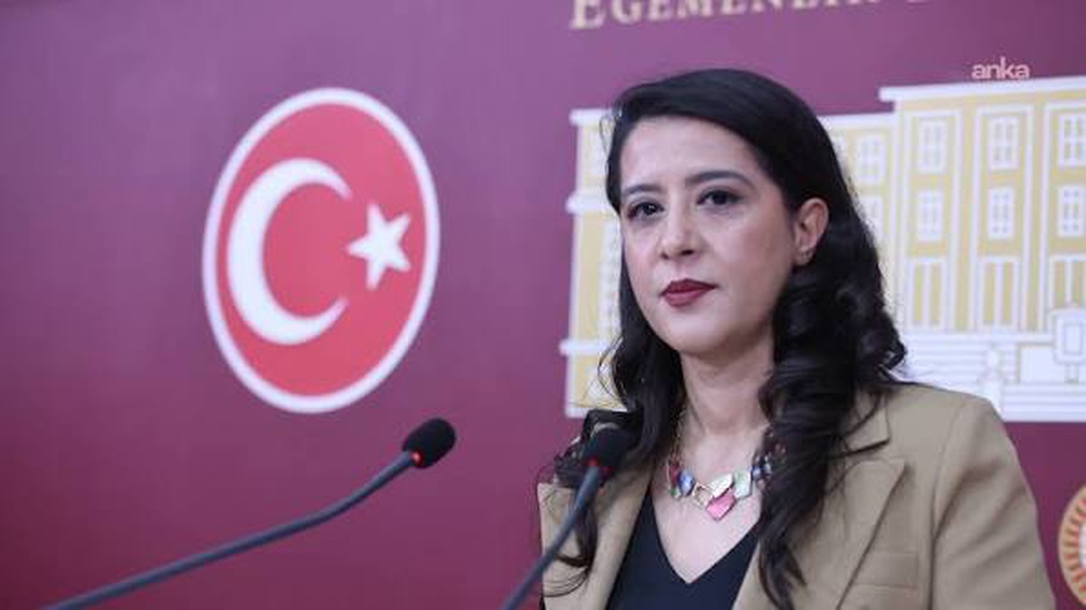 EMEP'li Karaca, gazeteciler Ağırel ve Özgür'ün gözaltısını Bakan Gürlek'e sordu