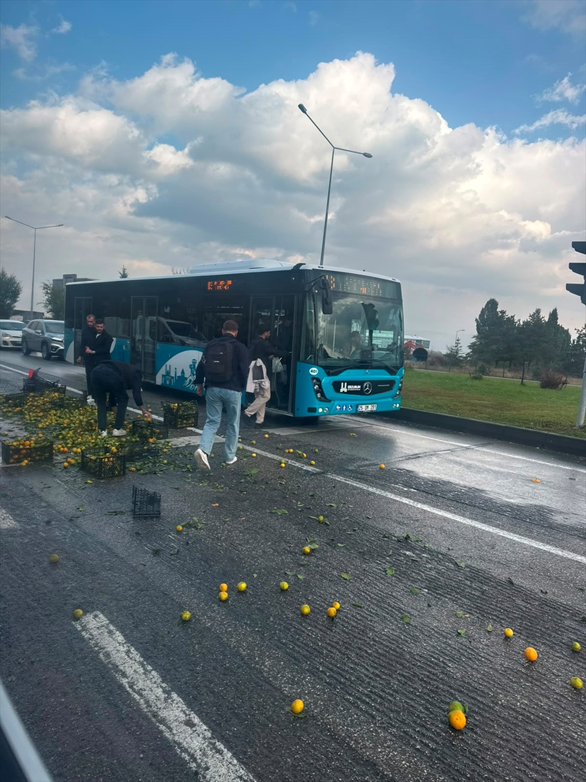 Erzurum'da dökülen mandalinalar toplandı