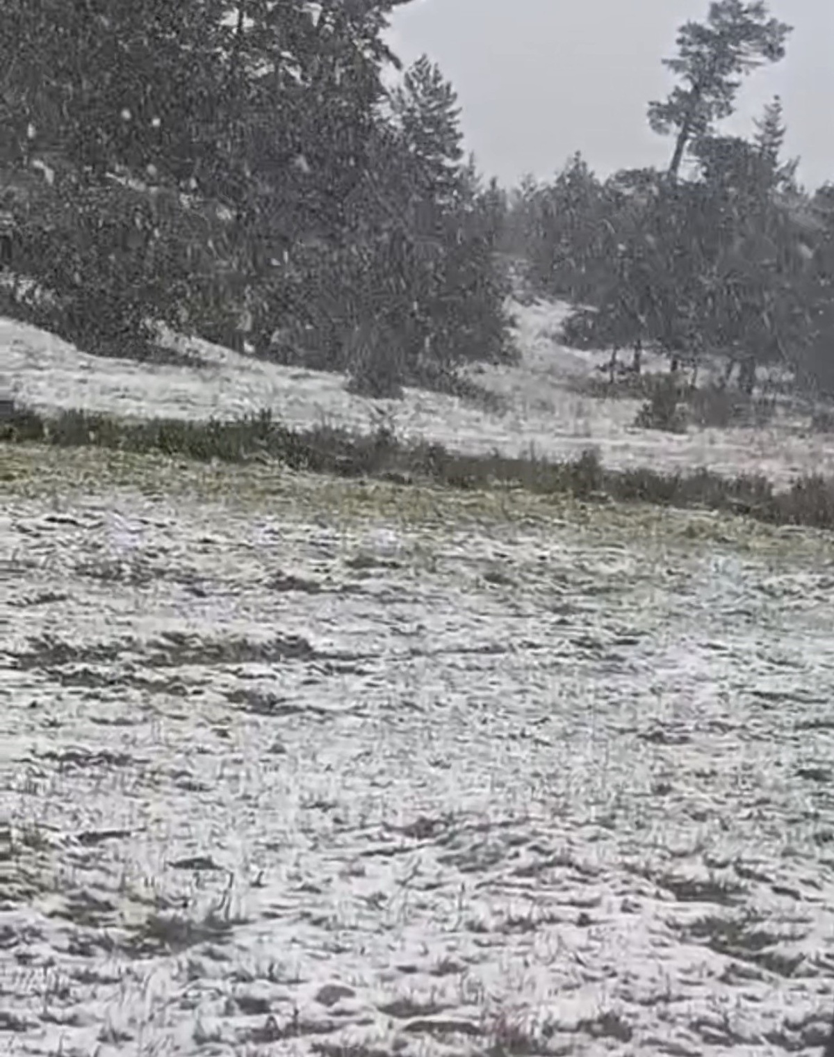 Eskişehir Alpu'da kar yağışıyla Büyük Alıç mevkiinde dağlık alanlar beyaza büründü