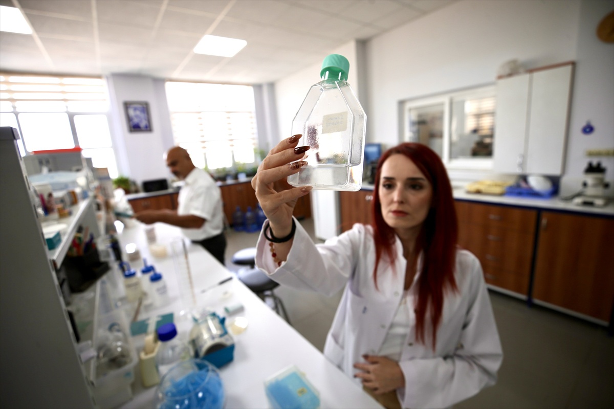 Nematoddaki RXP molekülü böcek kovucu DEET'ten 100 kat etkili bulundu