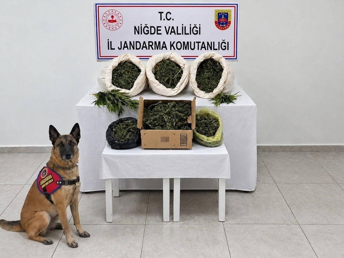 Niğde'de jandarma operasyonunda 10 kilo 15 gram uyuşturucu madde ele geçirildi