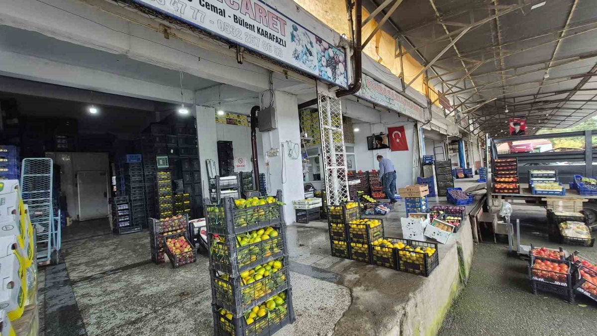 Samsun Bafra'da hal esnafı, yeni hal yapılana kadar mevcut düzenin korunmasını istedi