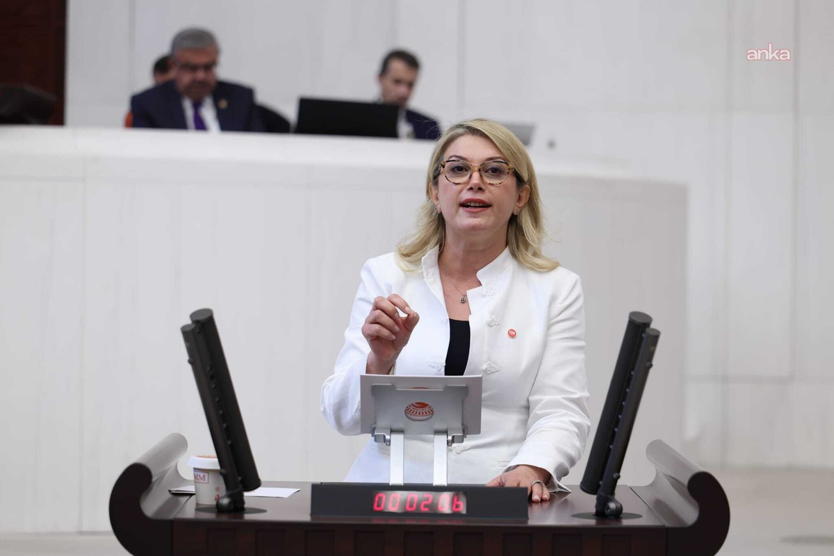 Asu Kaya, Osmaniye'nin eğitim desteği kapsamı dışında tutulmasını TBMM'ye taşıdı