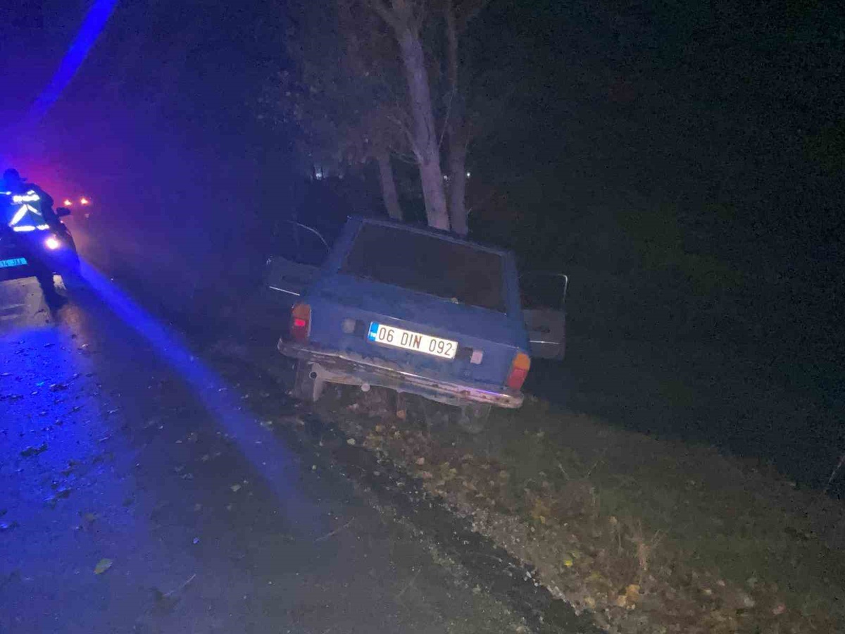 Bolu Mudurnu'da otomobil ağaca çarptı, sürücü hafif, yolcu ağır yaralandı