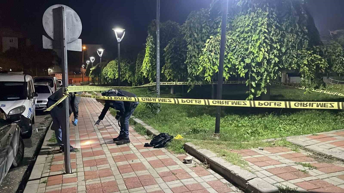 Karaman'da parkta bıçaklanan 17 yaşındaki 2 çocuk ağır yaralandı, şüpheli yakalandı