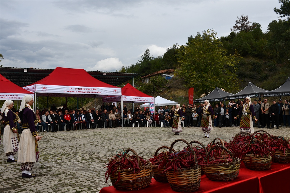 Bilecik'te 5. Çukurören Biberi Festivali'nde tescilli biber tanıtıldı